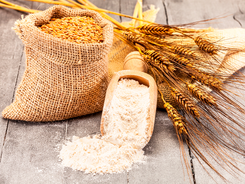La harina es un elemento primordial para la preparación de nuestros panes caseros, como ya platicamos en un artículo anterior, existen diferentes porcentajes de proteína en ella, así como infinidad…