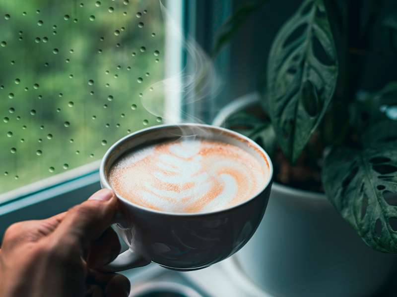 5-recetas-para-los-dias-lluviosos Cuando el cielo se viste de gris y la lluvia cae lentamente por las ventanas, nada reconforta más que el aroma de pan horneándose en casa. Imagínate esa sensación de…