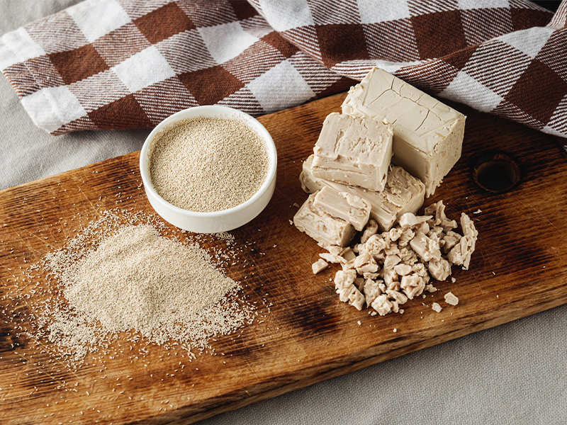 la-levadura-invento-de-la-ciencia-fabuloso Si hay un ingrediente que cambió para siempre la historia del pan, ese fue la levadura. Ese pequeño organismo invisible es el responsable de que nuestros panes se eleven, respiren…