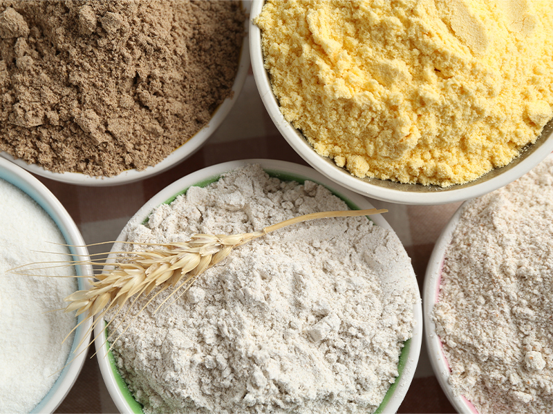 La harina es la base del pan y uno de los factores que más influye en el resultado final. Hablemos sobre este ingrediente básico para la panadería casera, tradicional y…