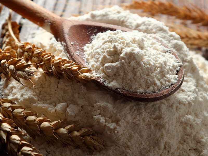 Cada 20 de marzo se celebra el Día Mundial de la Harina, una oportunidad para reconocer su papel esencial en la alimentación y la economía. En México, la harina de…